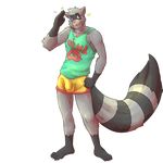  aidden anthro bulge clothing male mammal markwulfgar penis_outline raccoon shorts solo 