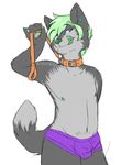  anthro bulge canine clothing collar fan_character invalid_tag leash male mammal piercing tongue twilicious underwear wolf 