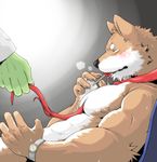  anthro blush candy canine duo food lollipop male mammal misokemo muscular necktie solo_focus 