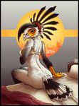 2016 alarm_clock anthro avian beak bed bed_sheet bedding big_breasts bird black_feathers blanket bottomless bra breasts butt clock clothed clothing english_text feathers female grey_background grey_eyes grey_feathers lolzguy looking_at_viewer looking_back on_bed orange_scales pillow rear_view scales secretary_bird side_boob signature simple_background sitting text underwear white_feathers 