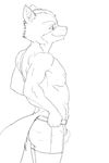  athletic black_and_white boxer_briefs bulge canine clothed clothing ducati fox fox_mccloud hands_on_hips hi_res line_art male mammal monochrome nintendo nipples pecs pinup pose side_view smile solo standing star_fox tight_clothing topless underwear video_games 