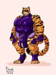  boo3 breasts bulge feline hyper hyper_bulge intersex mammal multi_arm multi_breast multi_limb muscular nipples rubber shiny superhero the_stripe tiger 