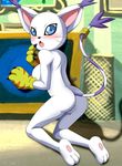  :o anus areola bbmbbf blush breasts butt cat clothing digihentai digimon embarrassed erect_nipples fangs feline female gatomon gloves looking_at_viewer mammal nipples palcomix palcomix_vip pussy raised_tail ring solo washing_machine whiskers 