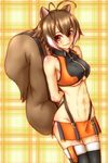  :3 abs animal_ears antenna_hair bad_id bad_pixiv_id bare_shoulders blazblue breasts brown_eyes brown_hair elbow_gloves fingerless_gloves gloves izayan makoto_nanaya medium_breasts miniskirt navel orange_skirt revealing_clothes short_hair skirt solo squirrel_ears squirrel_tail tail thighhighs underboob 