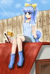  animal_ears bad_id bad_pixiv_id bike_shorts blue_eyes blue_hair boots bow ce-tan dog_ears dog_paws dog_tail fence inu-t multiple_girls orange_hair os-tan paws ponytail ribbon sabotenten tail yellow_bow 