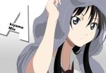  akiyama_mio bad_id bad_pixiv_id black_eyes black_hair hood hoodie k-on! long_hair no_thank_you! school_uniform solo tennen_ahoke 