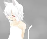  animal_ears blush camisole cat_ears cat_tail face highres looking_down majima_yuki original red_eyes simple_background smile solo tail white_hair 