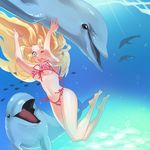  ;d bad_id bad_pixiv_id barefoot bikini blonde_hair breasts dino_(trexsilence) dolphin freediving front-tie_top green_eyes long_hair medium_breasts navel one_eye_closed open_mouth original side-tie_bikini smile solo swimming swimsuit underboob underwater 