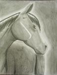  2010 ambiguous_gender equine feral greyscale horse mammal mane monochrome pencil_(artwork) pointy_ears quadruped snowhawk_(artist) solo traditional_media_(artwork) 