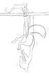  anal anatomically_correct canine cheese female feral fox hi_res mammal mouse mouse_trap pussy rat rodent simple_background sketch sqrl suspension torture trap_(disambiguation) white_background 