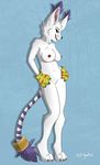  2016 absurd_res anthro anthrofied blue_background blue_eyes breasts claws clothing digimon ear_tuft fur gatomon gloves hands_on_hips hi_res looking_at_viewer navel nipples nude open_mouth ringed_tail simple_background standing tail_ring tail_tuft toe_claws tuft white_fur xxgato 