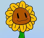  black_eyes blush female flora_fauna flower freckles plant plants_vs_zombies smile solo sunflower 