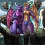  (character) bikini bulge clothing cyncer dragon fantasy female landscape male male/female spyro_(character) swimsuit thong wings zorro_re 