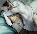  angiewolf anthro bed blush bottomless canine clothed clothing duo eyes_closed lizard lying male male/male mammal on_back reptile scalie sex spread_legs spreading 