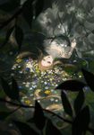  afloat bakgae blurry brown_hair depth_of_field dress fine_art_parody floating flower from_above green_eyes green_ribbon highres lips mouth nature ophelia_(painting) outdoors parody partially_submerged petals ribbon solo traditional_media water 