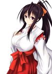  highschool_dxd himejima_akeno manna_(artist) miko tagme 