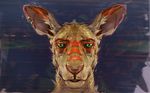  kangaroo mammal marsupial portrait stigmata 