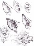  canine ear_transformation hibbary human mammal pointe_ears snout transformation were werewolf wolf 