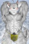  2016 abs anthro armpit_hair armpits biceps blush canine clothed clothing digital_media_(artwork) fundoshi fur grey_fur hair hisoka-bear japanese_clothing kemono looking_at_viewer male mammal morenatsu muscular nipples pecs pubes sauna scar solo steam sweat ten_kodori topless underwear video_games wolf yellow_eyes 