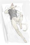 2021 anthro balls bed blonde_hair bottomless cettus clothed clothing domestic_cat erection felid feline felis furniture genitals hair hairless hairless_cat hakon_brandvold hand_on_knee hand_on_leg hi_res high-angle_view looking_at_viewer lying lying_on_bed male mammal on_back on_bed penis peterbald pillow pinup pose shirt shirt_only simple_background solo topwear topwear_only