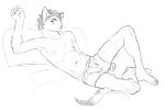 2021 anthro bent_legs briefs briefs_only cettus clothed clothing domestic_cat felid feline felis hair lying male mammal natan_osorio_suarez navel nipples on_back pillow raised_arm simple_background sketch skinny slim small_waist solo tail topless underwear underwear_only
