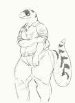 2020 angry anthro belt bottomwear california_kingsnake cettus clothed clothing dress_shirt female fully_clothed maeve_gibson overweight overweight_anthro overweight_female pants reptile rolling_up_sleeves scalie shirt sketch snake solo striped_body striped_skin stripes tail topwear