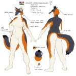 2022 anthro belly breasts butt canid canine cettus english_text featureless_breasts featureless_crotch female flat_colors fox fur grey_body grey_fox grey_fur hand_on_hip hi_res hungarian_flag ilona_spruyterveldt mammal model_sheet nude orange_body orange_fur simple_background solo standing stars_and_stripes tail text united_states_of_america urocyon white_background
