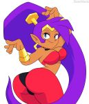 absurd_res blue_eyes breasts brown_body brown_skin butt cleavage clothed clothing ear_piercing ear_ring female genie hair hi_res humanoid humanoid_pointy_ears looking_at_viewer not_furry piercing ponytail purple_hair ring_piercing shantae shantae_(series) signature simple_background smile solo sournack wayforward