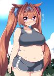 1girl animal_ears blue_background blue_sky blush breasts brown_hair cloud cloudy_sky collarbone commentary_request cowboy_shot daiwa_scarlet_(umamusume) day dolphin_shorts dot_nose hair_between_eyes highres horse_girl large_breasts long_hair looking_at_viewer muffin_top navel outdoors parted_lips pink_eyes plump purple_eyes shiyo_hodaka shorts sky solo sun sweat thick_thighs thighs translation_request twintails umamusume very_long_hair 