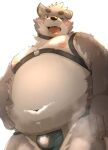 2024 anthro asian_clothing belly big_belly blush canid canine canis clothing domestic_dog east_asian_clothing fundoshi japanese_clothing kemono male mammal menmen_kesinn moobs navel nipples overweight overweight_male simple_background solo underwear white_background