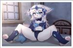 2024 3_toes anthro blue_body blue_eyes blue_fur blue_hair blush breasts camel_toe canid canine clothed clothing crayon_(artist) digital_media_(artwork) embarrassed feet female female_anthro footwear fur hair kemono looking_at_viewer mammal multicolored_body multicolored_fur multicolored_hair pawpads paws socks solo spread_legs spreading stirrup_socks tail toes white_body white_fur white_hair