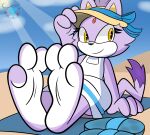 3_toes absurd_res anthro barefoot blaze_the_cat domestic_cat feet felid feline felis female fur hi_res mammal mintytempest purple_body purple_fur sega soles solo sonic_the_hedgehog_(series) toes