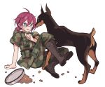  1boy ahoge arm_support belt_pouch blue_eyes blush boots bowl brown_footwear camouflage camouflage_jacket cross-laced_footwear doberman dog ensemble_stars! frown full_body furrowed_brow glasses hair_between_eyes hand_up highres jacket knee_boots knee_up lace-up_boots looking_at_animal low_ponytail male_focus meremero military military_uniform open_mouth pet_bowl pet_food pouch purple_hair saegusa_ibara short_hair short_sleeves simple_background sitting tearing_up uniform white_background 