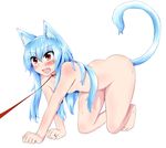  all_fours animal_ears ass barefoot bdsm blue_hair blush body_blush breasts cat_ears cat_tail collar drooling female_pervert happy highres hinanawi_tenshi kemonomimi_mode king_(ougon_kingyo-bachi) leash leash_pull long_hair nude paw_pose pervert pet_play red_eyes small_breasts solo sweat tail thighs toes touhou 
