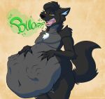 absurd_res anthro belly big_belly blitzit canid canine canis digestion domestic_dog fur hi_res husky hybrid male mammal nordic_sled_dog oral_vore simple_background solo spitz tail videlthewusky vore wolf wolfdog