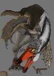 ambiguous_gender arm_feathers beak chasing claws dinosaur feathered_dinosaur feathers feral fur grey_back hi_res hunting mammal mochio_designs open_mouth ornithomimosaur reptile rodent running scalie solo tail tail_feathers tyrannomimus