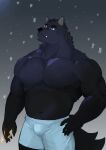 2023 absurd_res anthro biceps black_body black_eyes black_fur blue_bottomwear blue_clothing blue_shorts bottomwear canid canine canis cigarette claws clothing deltoids domestic_dog finger_claws fur hi_res holding_cigarette holding_object looking_up male mammal musclegut muscular muscular_anthro muscular_male navel night nipples pecs pluto_hikari shorts snow snowing solo triceps watermelonzeu