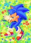  1boy absurdres animal_ears animal_nose closed_eyes closed_mouth commentary flower from_above full_body furry furry_male gloves highres lying male_focus on_grass on_ground on_side red_footwear shoes sleeping solo sonic_(series) sonic_the_hedgehog symbol-only_commentary tail white_gloves yangfaa_sonic 