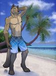  2011 anthro beach biceps canine claws clothed clothing cloud fur male mammal muscular outside palm_tree pecs sand seaside sky solo standing swimming_trunks swimsuit toe_claws topless tree tropical tsaiwolf water wolf 