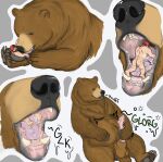 absurd_res anatomically_correct anatomically_correct_genitalia anatomically_correct_penis bear bestiality bodily_fluids body_in_mouth breath brown_bear clawed_fingers claws digital_media_(artwork) duo feet feral genitals grinding_on_tongue grizzly_bear hgythshs hi_res holding_character human human_on_feral humping in_mouth interspecies licking licking_body male male/male mammal masturbation mawplay micro micro_in_hand mouth_shot nude on_tongue open_mouth pawpads paws penis rumbling_stomach saliva size_difference snout swallowing teeth tongue tongue_hug tongue_out ursine vore willing_prey