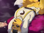 anthro bandai_namco belt clothed clothing digimon digimon_(species) duo erection fluffy_void genitals girly hi_res human male male/male mammal open_mouth partially_clothed penis tail taomon teeth yin_yang