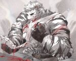  1boy animal_ears applying_bandages arknights bara blood blood_on_face clenched_hands cowboy_shot devotion116 facial_hair fighting_stance furry furry_male goatee highres large_hands large_pectorals male_focus mountain_(arknights) mouth_hold muscular muscular_male pectorals scar scar_across_eye scar_on_arm serious short_hair solo thick_eyebrows tiger_boy tiger_ears topless_male white_hair 