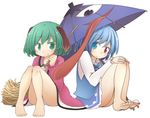  animal_ears bamboo_broom barefoot blue_eyes blue_hair broom dog_ears dress feet floppy_ears frilled_skirt frills green_eyes green_hair heterochromia jagabutter karakasa_obake kasodani_kyouko multiple_girls panties pantyshot pantyshot_(sitting) red_eyes shirt short_hair sitting skirt smile tatara_kogasa toes touhou umbrella underwear vest 