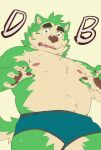  absurd_res anthro belly briefs canid canine canis clothed clothing domestic_dog eyebrows fur green_body green_fur heylaw21 hi_res lifewonders live_a_hero male mammal mokdai navel nipples overweight pawpads solo surprised_expression thick_eyebrows topless underwear 