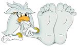  anthro barefoot feet feetymcfoot_(artist) foot_fetish foot_focus hedgehog male mammal paws silver_the_hedgehog soles solo sonic_(series) toes video_games 