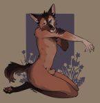 animal_genitalia anthro canid canine fox genitals hi_res kneeling looking_at_viewer male male/male mammal nude paws pose sheath solo tail zucchinifuzz