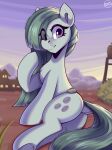 absurd_res blush boulder_(mlp) butt cutie_mark earth_pony equid equine female friendship_is_magic fur grey_body grey_fur grey_hair hair hasbro hi_res horse looking_at_another mammal marble_pie_(mlp) my_little_pony pony purple_eyes shadowreindeer solo
