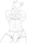  abs athletic black_and_white briefs clothing digital_drawing_(artwork) digital_media_(artwork) ducati erection eyes_closed feline foreshortening front_view line_art mammal monochrome multiple_piercings navel nintendo panther panther_caroso pecs piercing pinup pointing_at_viewer portrait pose smile star_fox tenting three-quarter_portrait underwear video_games 