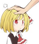  :d ascot collared_shirt colored_eyelashes expressionless jagabutter open_mouth out_of_frame petting rumia shirt short_hair smile solo_focus touhou vest 