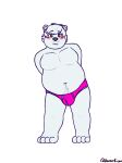 amanekiryuu anthro bear belly blush body_hair briefs bulge clothed clothing echo_(calahootheyeen) facial_hair happy_trail hi_res male mammal moobs mustache obese obese_anthro obese_male overweight overweight_anthro overweight_male pink_briefs pink_clothing pink_underwear polar_bear solo underwear underwear_only ursine white_body